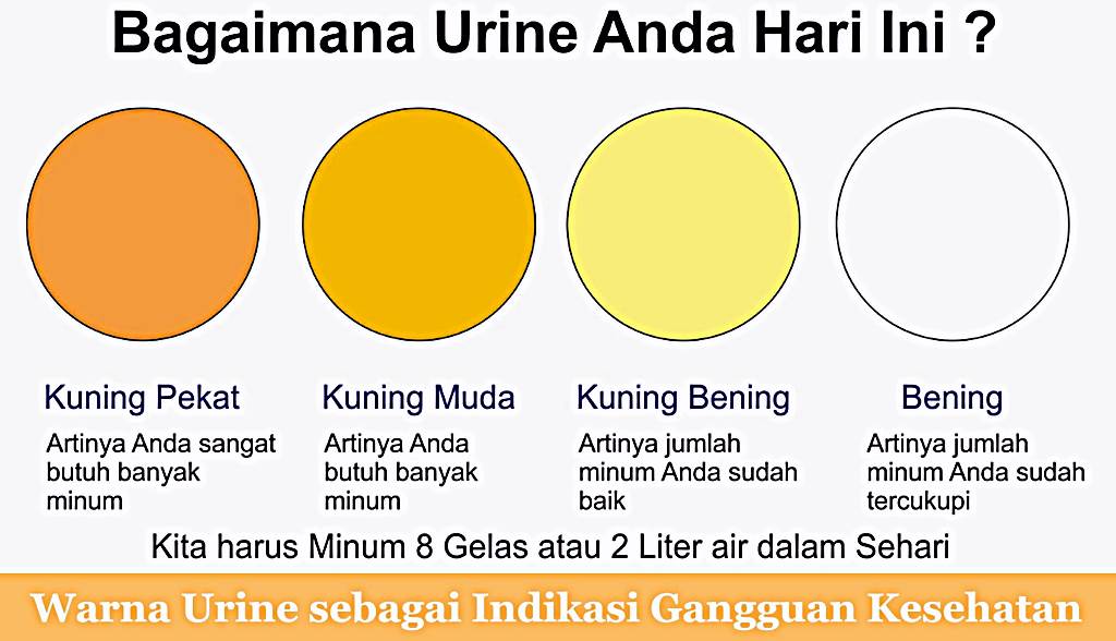 Feature Image Warna Air Seni Indikasi Kesehatan