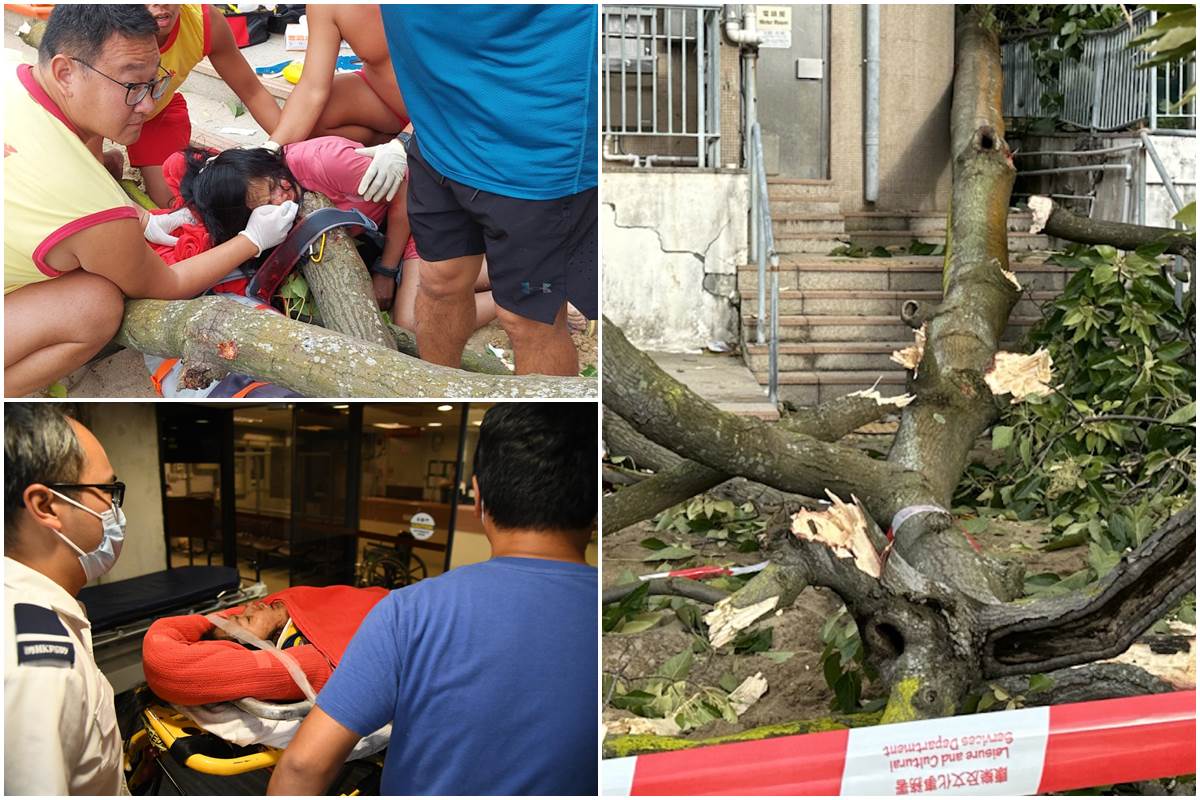 Kolase pohon tumbang di repulse bay memakan korban (foto HK01)