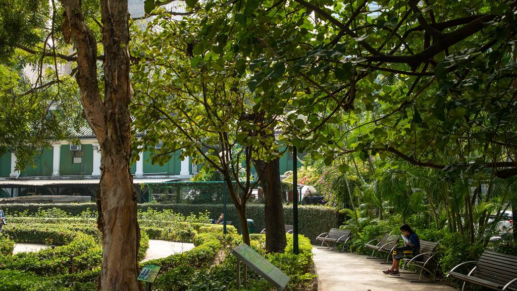 Salah satu sudut Kowloon Park di Tsim Sha Tsui Hong Kong (Foto Ilustrasi Istimewa)