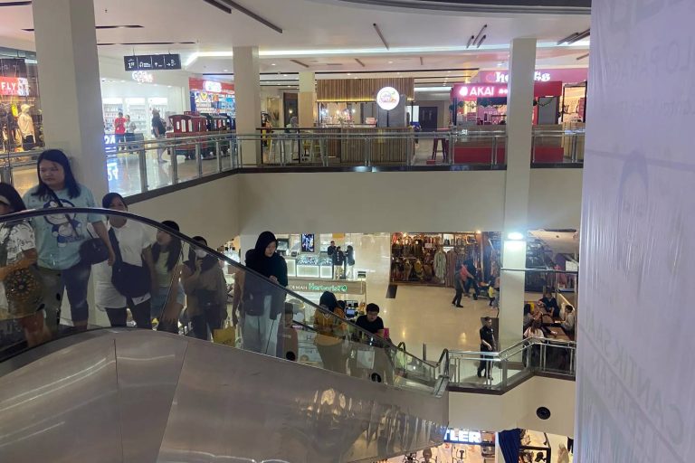 Faktor Lahirnya Fenomena Rojali di Indonesia